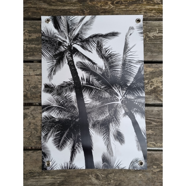 palmtrees